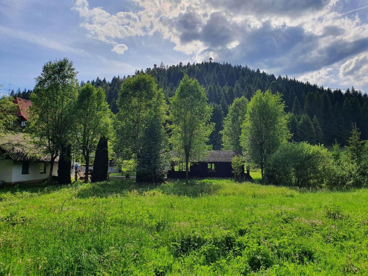 Finkenhof Hotel Schluchsee Exterior photo